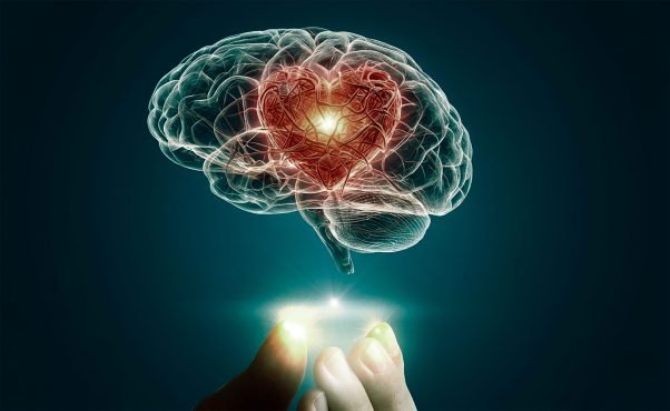 capa-inteligência-emocional-na-vida-pessoal-e-profissional